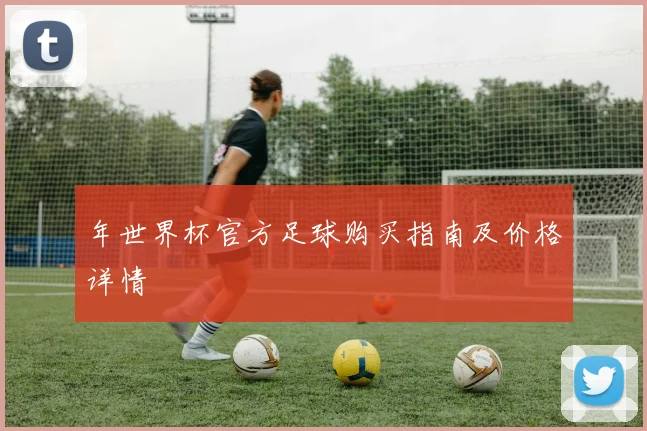 年世界杯官方足球购买指南及价格详情