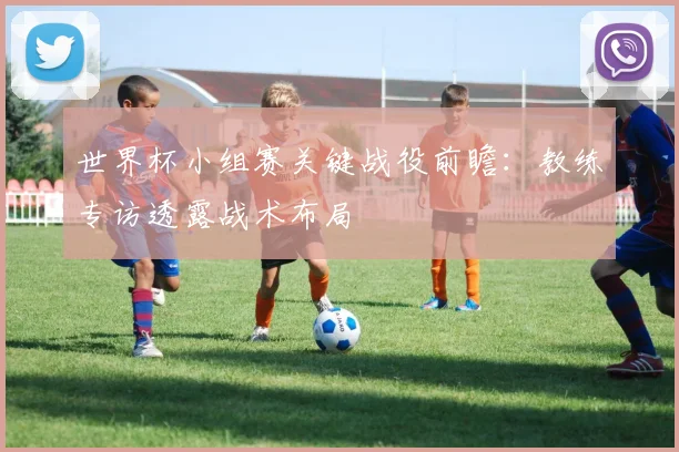 世界杯小组赛关键战役前瞻：教练专访透露战术布局