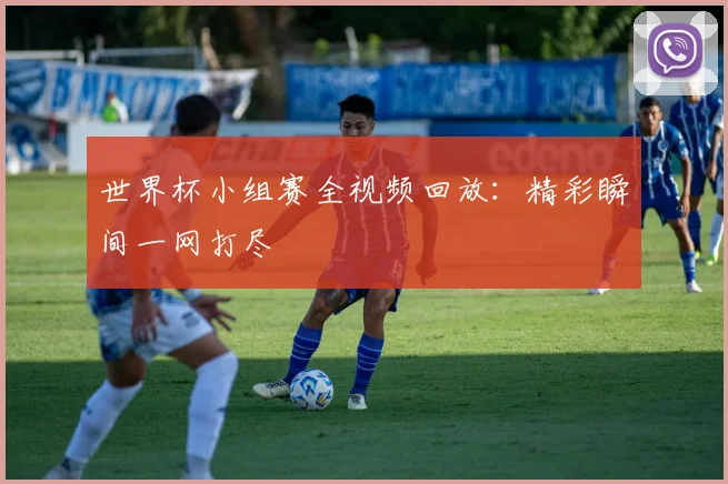 世界杯小组赛全视频回放：精彩瞬间一网打尽